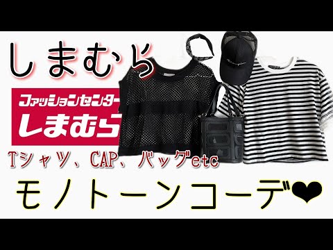 【メッシュが可愛い】しまむらのモノトーンコーデ