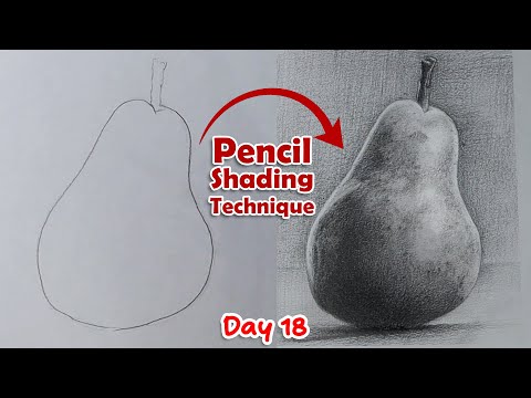 Pencil Shading Technique for Beginners || Drawing for Beginners - Day 18  || 100 Days Challenge