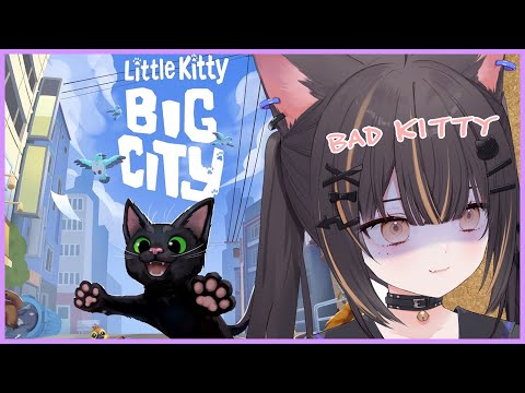 【LITTLE KITTY, BIG CITY】I'M A GOOD KITTEN!