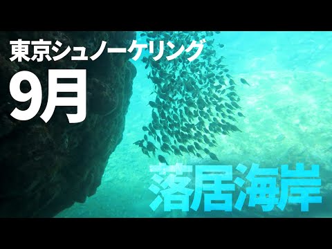 ＃２０落居海岸でシュノーケリング（2020年9月）【東京シュノーケリング】