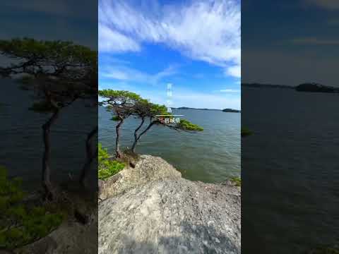 【宮城・絶景】個人的に何度も行ってる宮城の絶景スポット！！