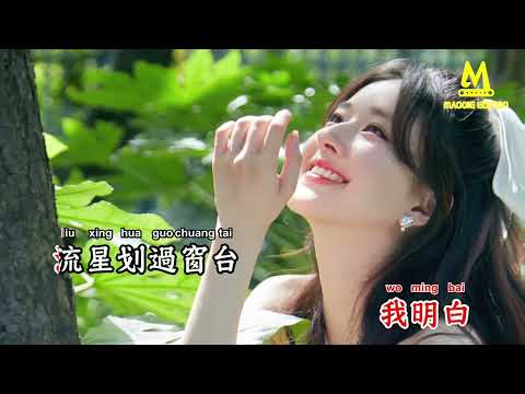 [ KTV ] 有你在 Có Anh Đây - 赵露思 Triệu Lộ Tư Karaoke