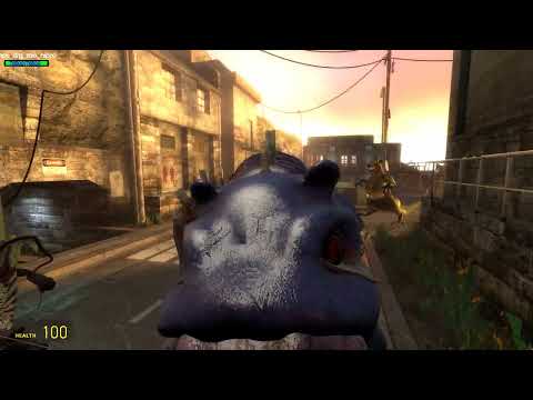 ZOOCHOSIS in Garry's Mod!