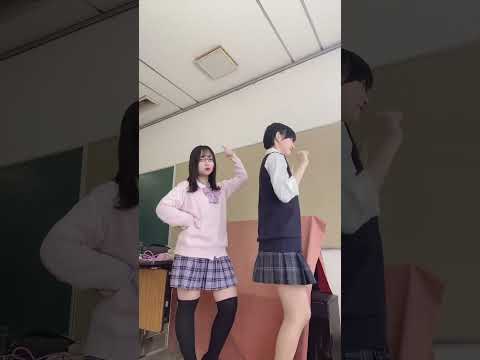 全く性格違う女子が心を通わせ合う瞬間 #tiktok #shorts #千利休