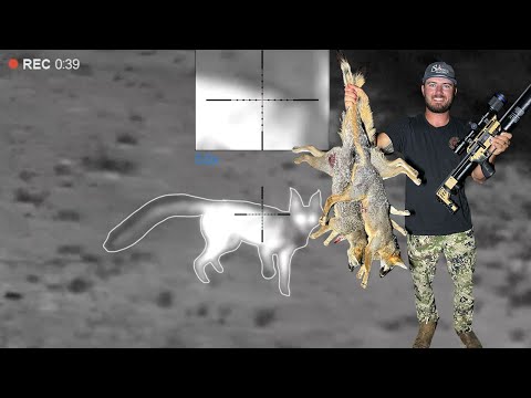 FOX Hunting With AIRGUNS