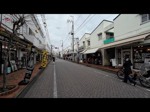 [Tokyo Edition] A walk from Hamadayama Station: 4K Japan