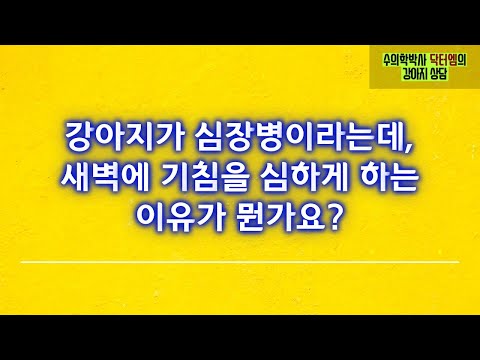 강아지가 새벽에 심하게 기침을 하는데 그게 심장병 때문이라구요??