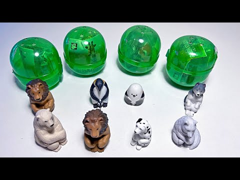 Sea Animals & Wild Animals Gachapon Collection - Lion, Penguin, Bird, Wolf, Polar Bear, Shark, Whale