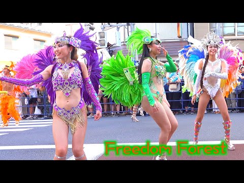 2024⛩️浅草サンバカーニバル👯‍♂️Freedom Forest School Samba Band🫛＆🍊S1リーグ🗼Verde＆Laranjaは永遠に🧨７発目⭐️４K大画面テレビジョン広角サンバ