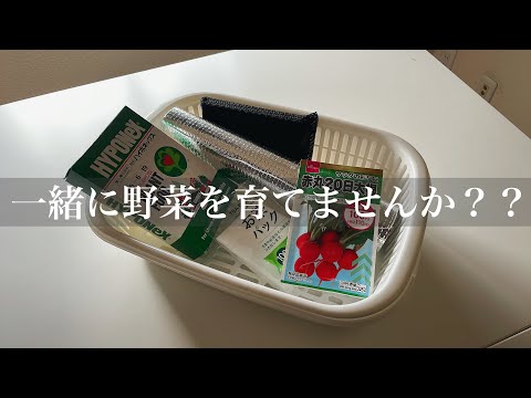 【10月8日開催】一緒に野菜を育てませんか？？