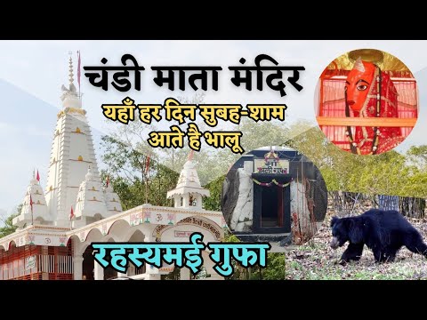 चंडी माता मंदिर | chandi mata mandir bagbahara | mahasamund | chhattisgarh | Alkarha vlogger