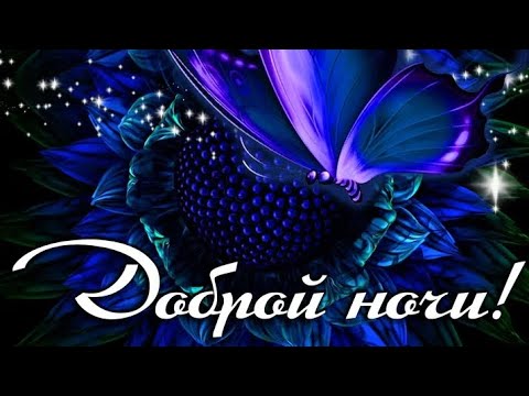 Спокойной ночи😴🌙✨💋!!! Сладких снов😘 вам!!!