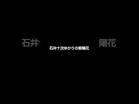 石井十次ゆかりの紫陽花 #岡山 #福祉