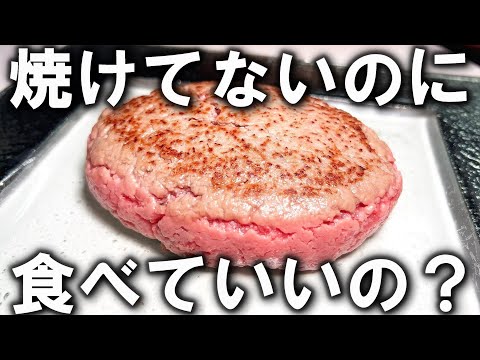 巷にあふれている焼けてない系ハンバーグについて解説します