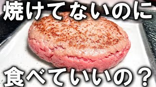 巷にあふれている焼けてない系ハンバーグについて解説します