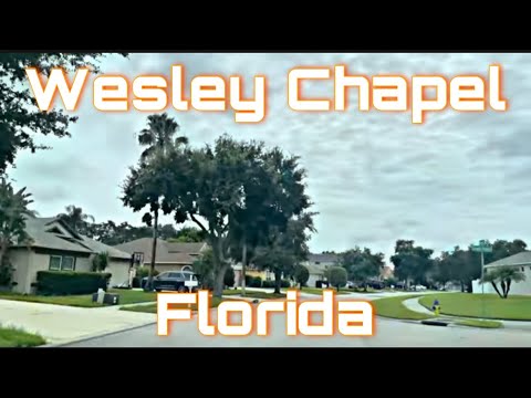 Wesley Chapel, Florida - Drive With Me