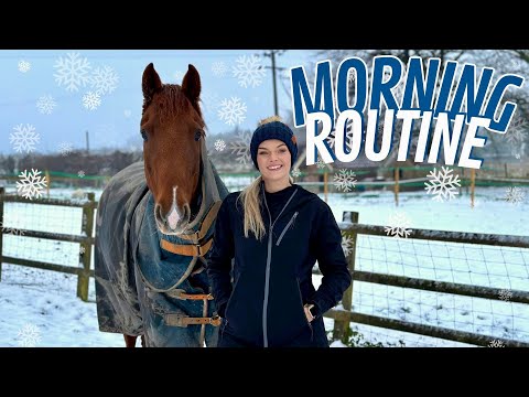 My Horses Winter Morning Routine ❄️