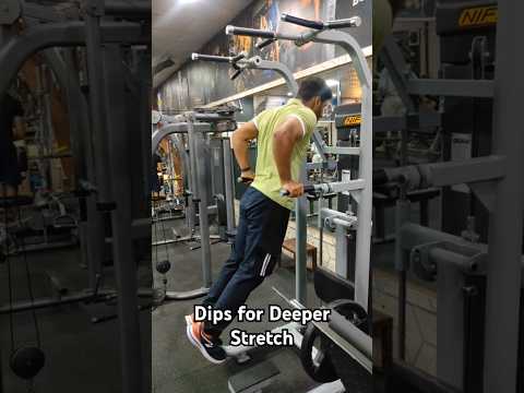 Dips For Triceps Exercise 💥 Gym Workout #gym #workout #shorts #triceps #dips #fitness #gymmotivation