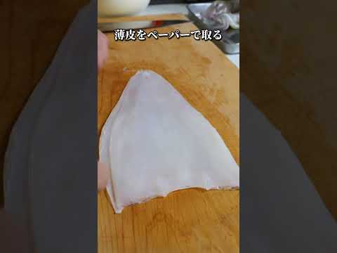 ヤリイカ刺身が美味すぎた #ヤリイカ #刺身 #魚の捌き方 #squid #sashimi