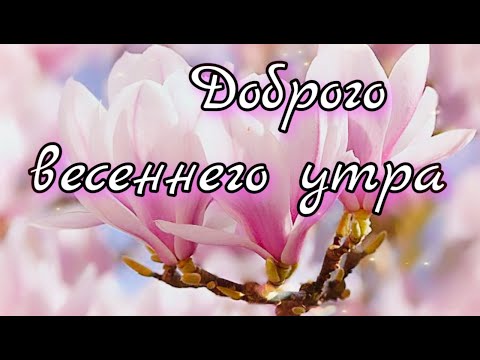 🌺Доброго весеннего утра🌺 Музыкальная открытка 💕