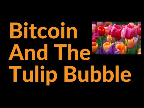 Bitcoin and the Tulip Bubble