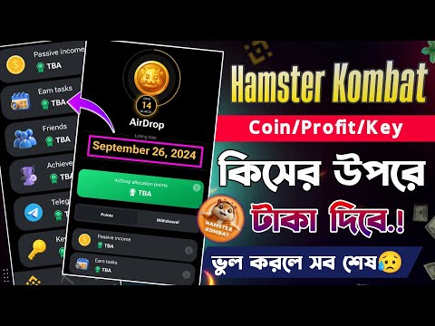 Hamster Kombat কিসের উপর টাকা দিবে || Hamster Kombat Airdrop Withdrawal