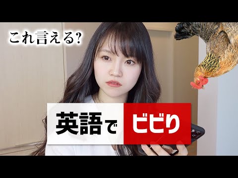 ４つの英語「ビビり/ チキン/ 根性なし/ 弱虫・意気地なし」は何て言うの？