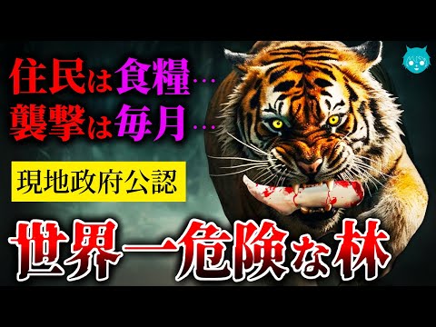 【戦慄】人食いトラの襲撃が止まらない“世界一危険な林”がヤバすぎる