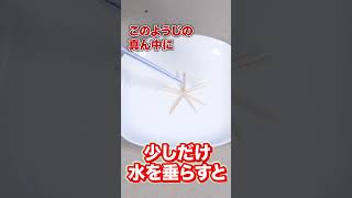 つまようじでできる驚きの実験とは