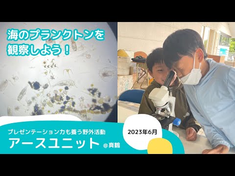 プレゼン力を育成する野外活動《磯の多様な生物を採取・観察しよう！》＠真鶴