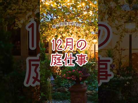 【12月】冬の庭仕事をチェック！  #ガーデニング #冬の庭 #shorts #クリスマス