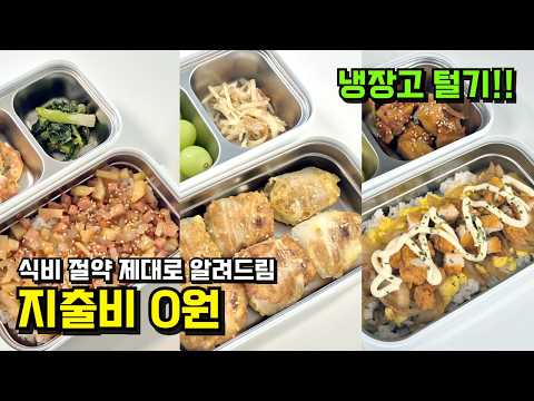 점심 식비 0원 도시락싸기🍱🍱 식비절약 남편이 싸는 직장인 아내 도시락 모음 vlog