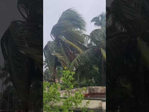 cyclone Remal coming part 1 #cyclone #reels #viral #trendingshorts #remal #baruipur