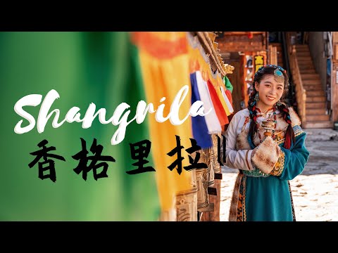 香格里拉Shangri-la II: The largest prayer wheel in the world, Tibetan dress EP2: 全世界最大的转经筒，藏服旅拍，纳帕海