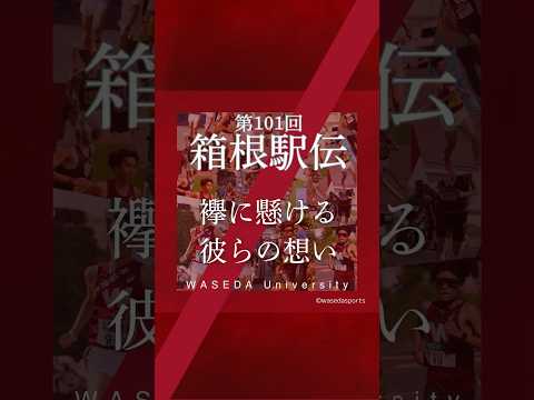 【選手の襷に懸ける想い〜宮岡凜太〜】#早稲田大学競走部#箱根駅伝