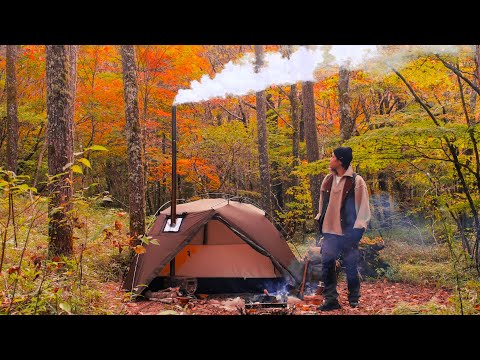 Hot Tent Camping in Beautiful Red Leaves of Japan (Pomoly)