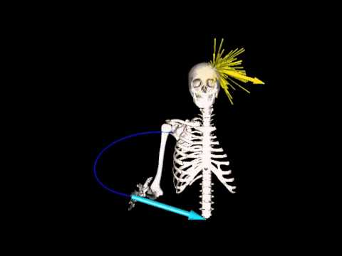 Controlling movement without the spine