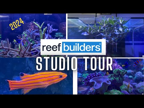 2024 Tour of the Reef Builders Studio