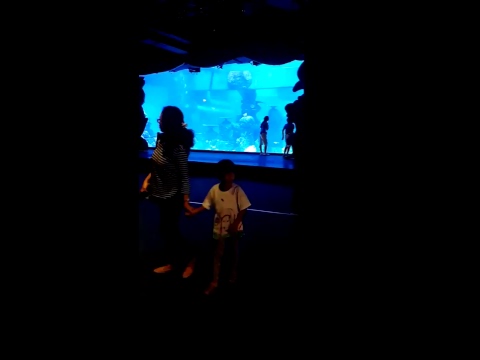 Jakarta Aquarium