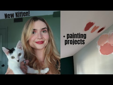 New Kitten! + Painting Updates