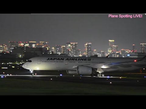 半月丼！A350、2機飛来！B767スタアラ、むすび丸！伊丹空港！Plane Spotting  Live!!  Osaka International Airport   11/08/2024