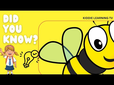 Did you know # 7 || Facts ||  Bees #kidsvideo #shortsvideo  #shortvideo  #shortfeed