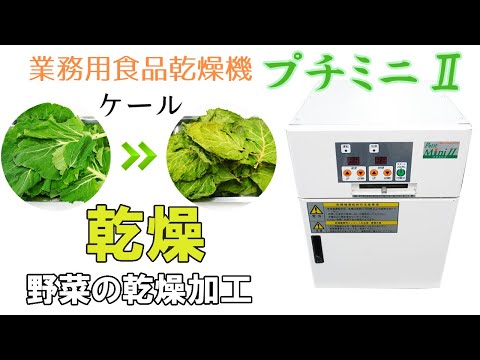 プチミニⅡを使用してケールを乾燥加工しました