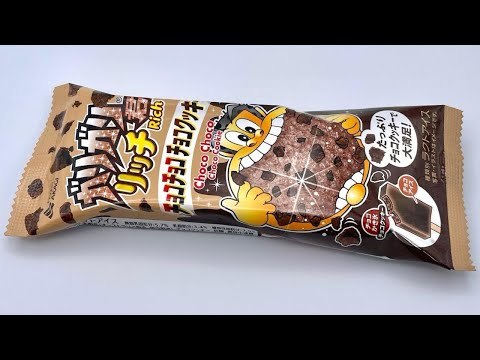 ガリガリ君リッチ チョコチョコチョコクッキー