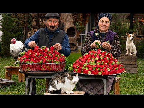 Preserving Strawberries Without Freezing | Lasts All Year