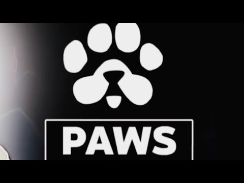 Don't Miss Out! Grab Your FREE $700+ and Bonuses from $PAWS Airdrop | Paws | Airdrop