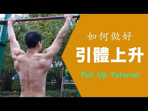 Pull Ups - Proper Execution and Tutorial