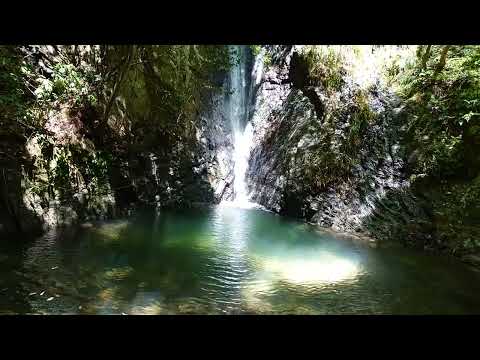 岐阜県川辺町 南天の滝(20240801)