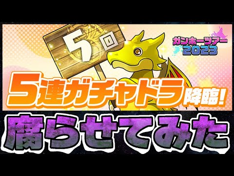 【パズドラ】常滑のガチャドラ腐らせてみた