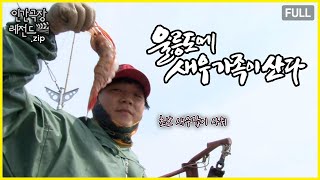 장인어른에게 배우는 새우잡이 🦐 '울릉도에 새우 가족이 산다' 몰아보기 | 인간극장 레전드.zip [KBS 방송]